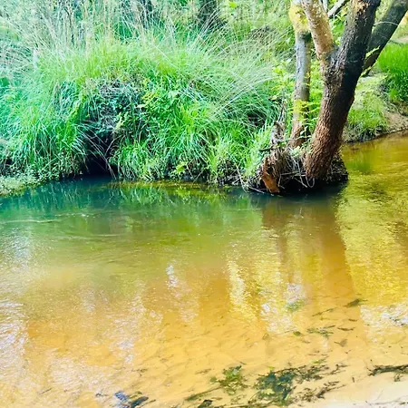 Eco-yourte Dans Le Foret Sabres